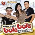 Forr� do Bole Bole 
