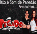 Forr� Pegado 